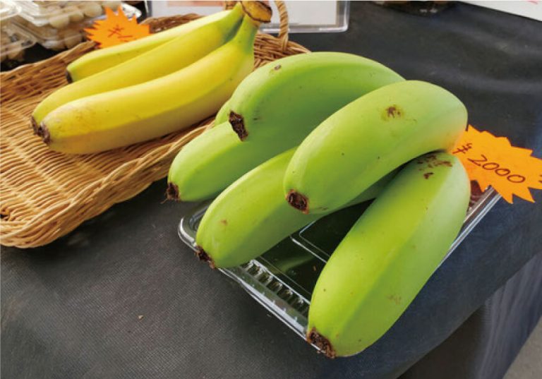 バナナ栽培友の会