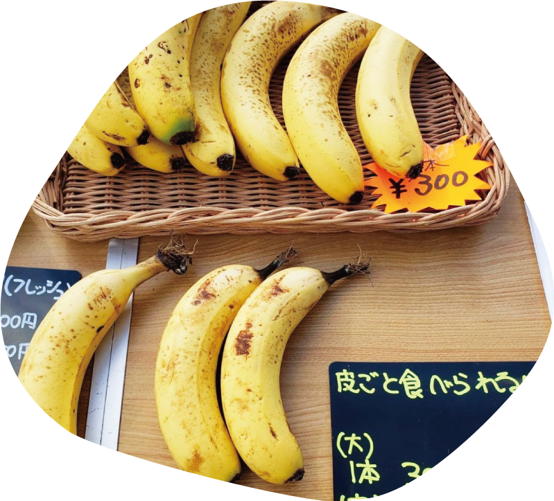 化学肥料・農薬不使用、身体に良いバナナです